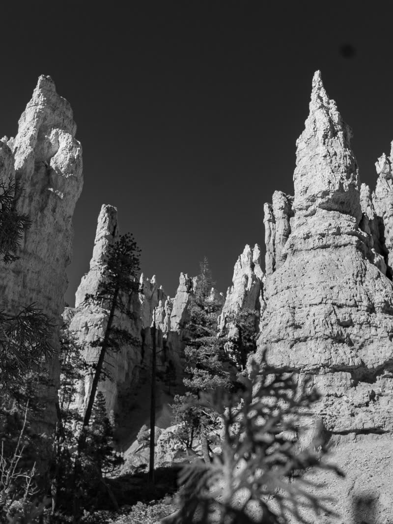 Hoodoos rising in hard black and white